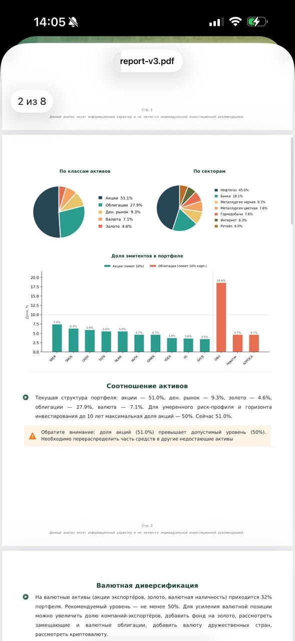 PDF-отчёт: сводная таблица портфеля с долями и оценкой